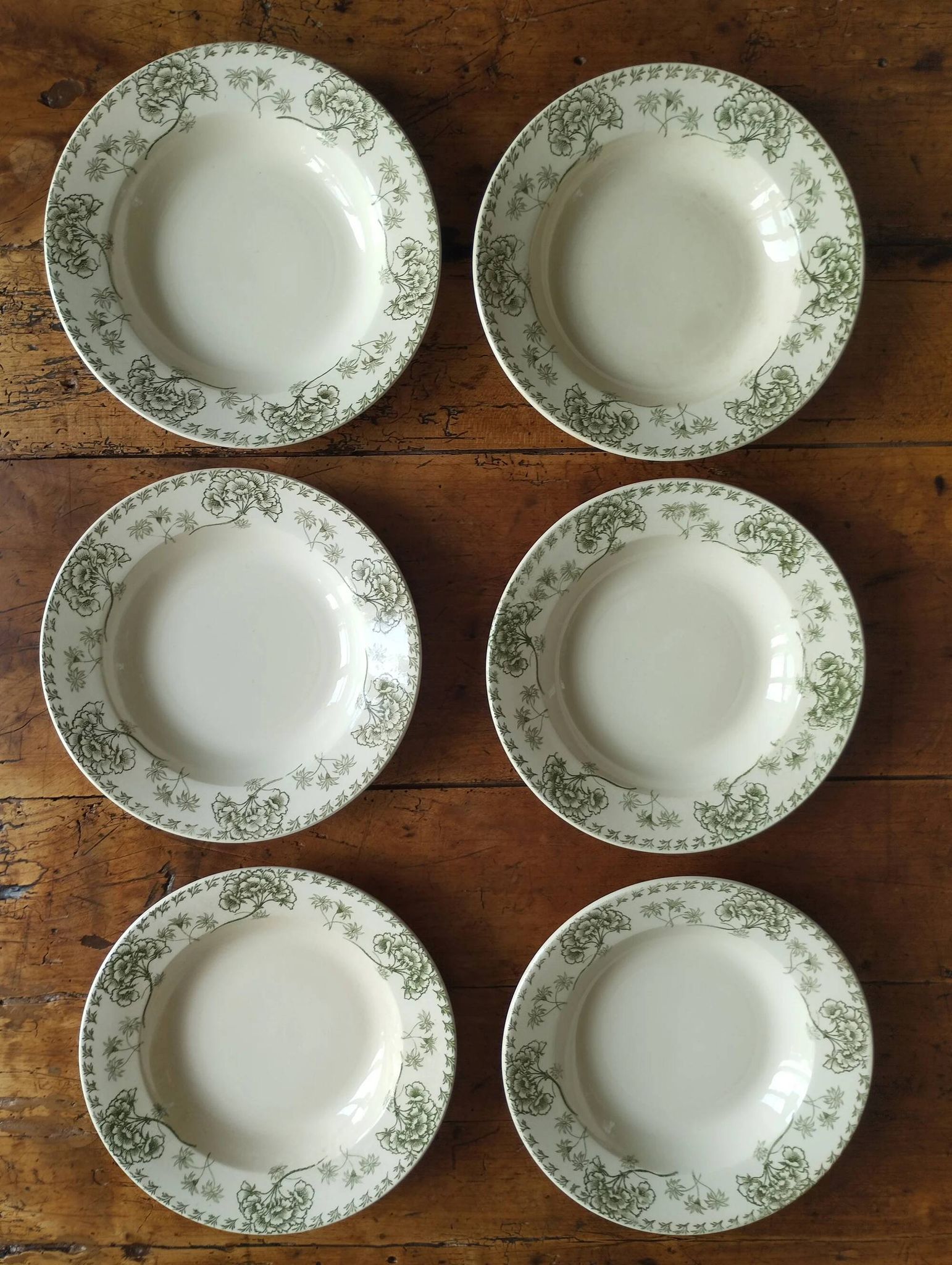 « Palmyre » - 6 assiettes creuses terre de fer Sarreguemines