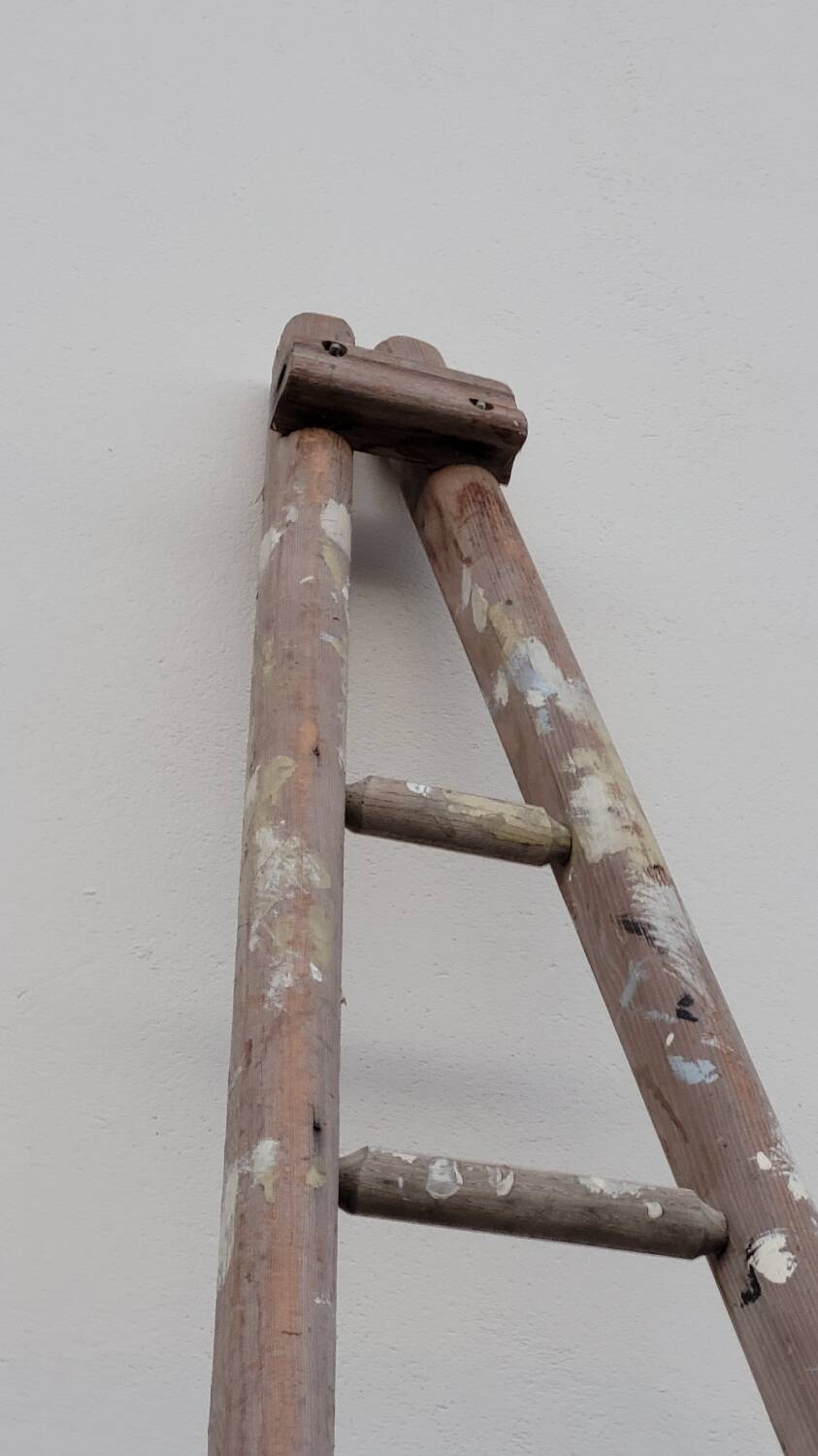 Old wooden fruit harvest market gardener's ladder - 3m65