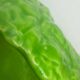 Cabbage salad bowl in slip