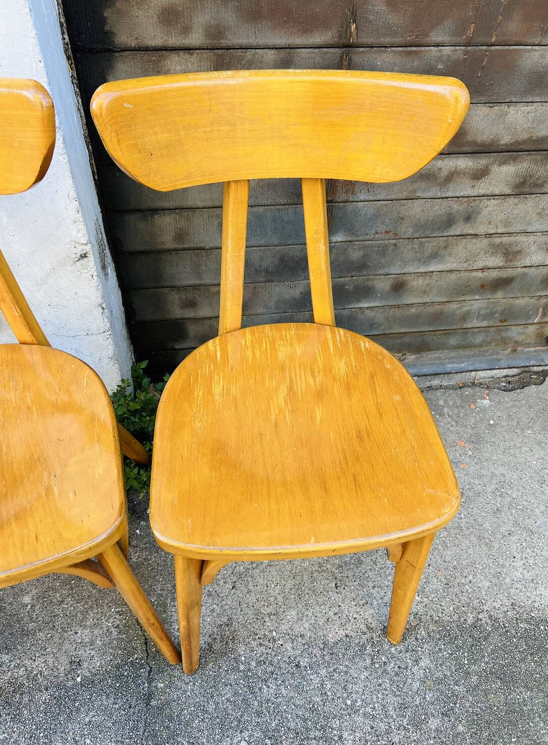 (Lot) 6 Bistro Chairs Lutherma Banana (Light Oak)