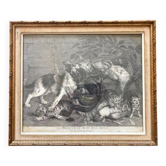 Antique print - Cats on the attack