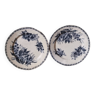 Lot de 2 assiettes plates vintage terre de fer modèle mûre Badonvillier