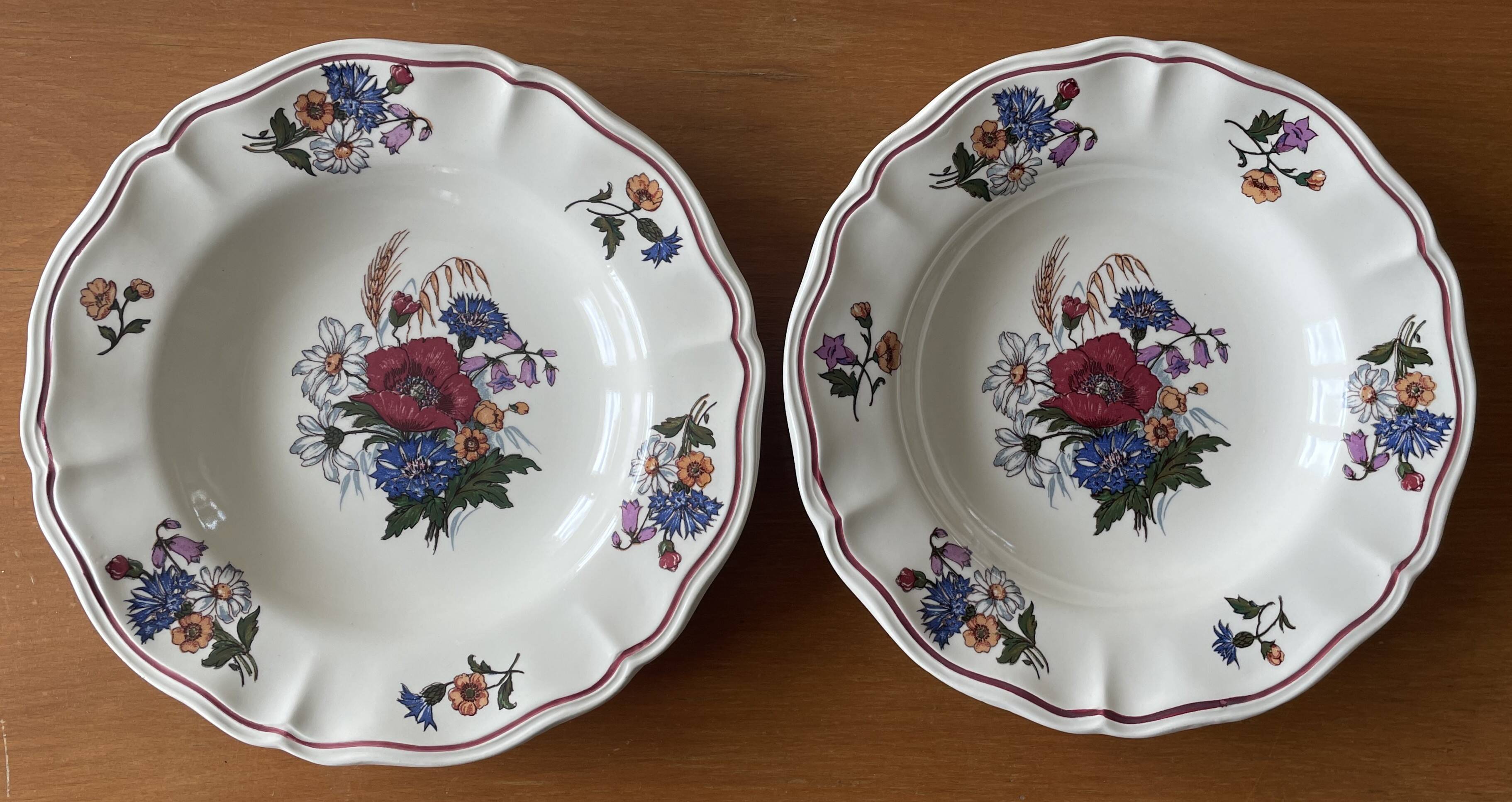 6 antique deep plates in Sarreguemines earthenware