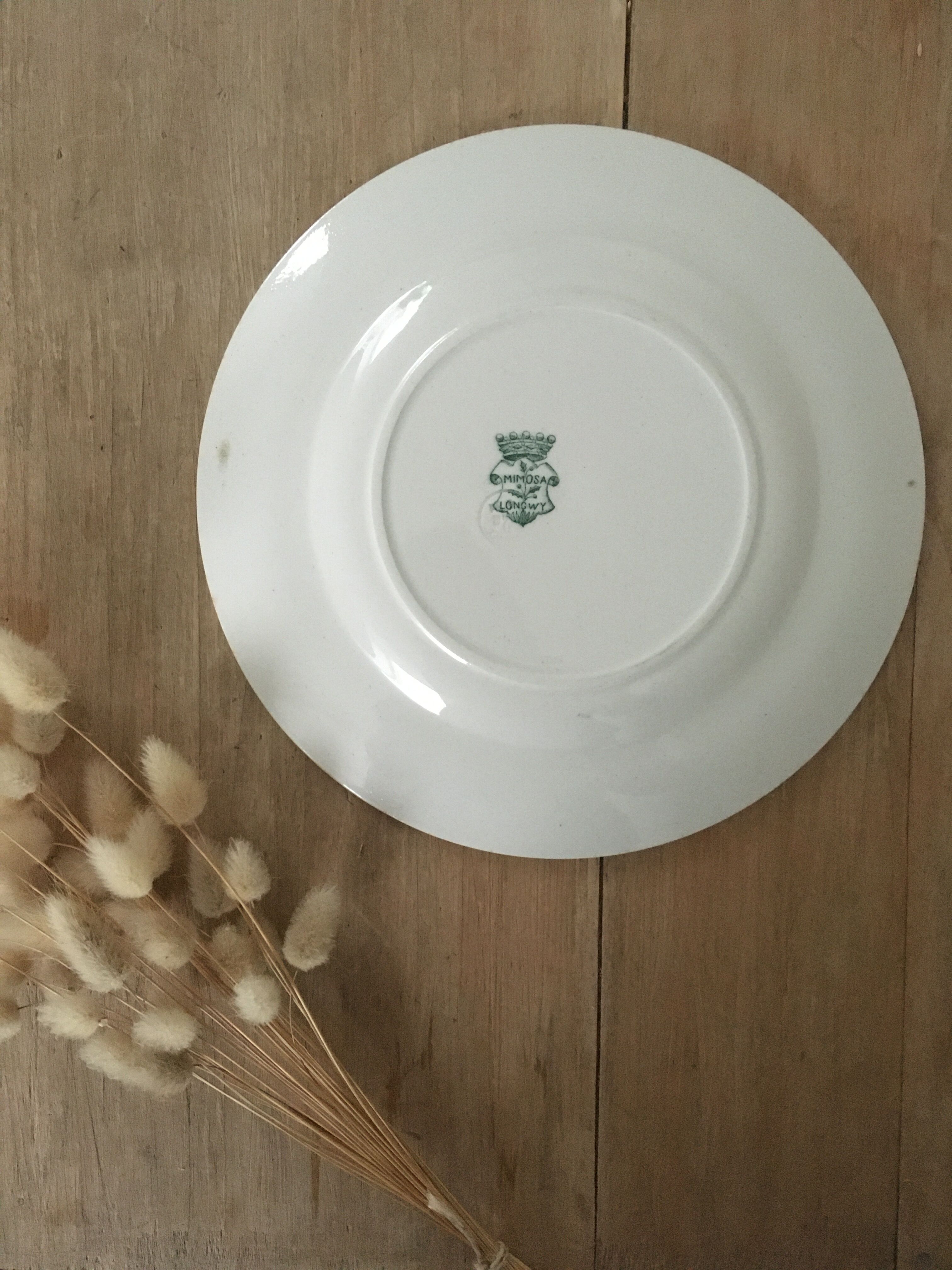 Assiettes plates terre de fer Longwy Mimosa