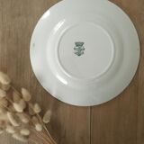 Flat plates iron earth Longwy Mimosa