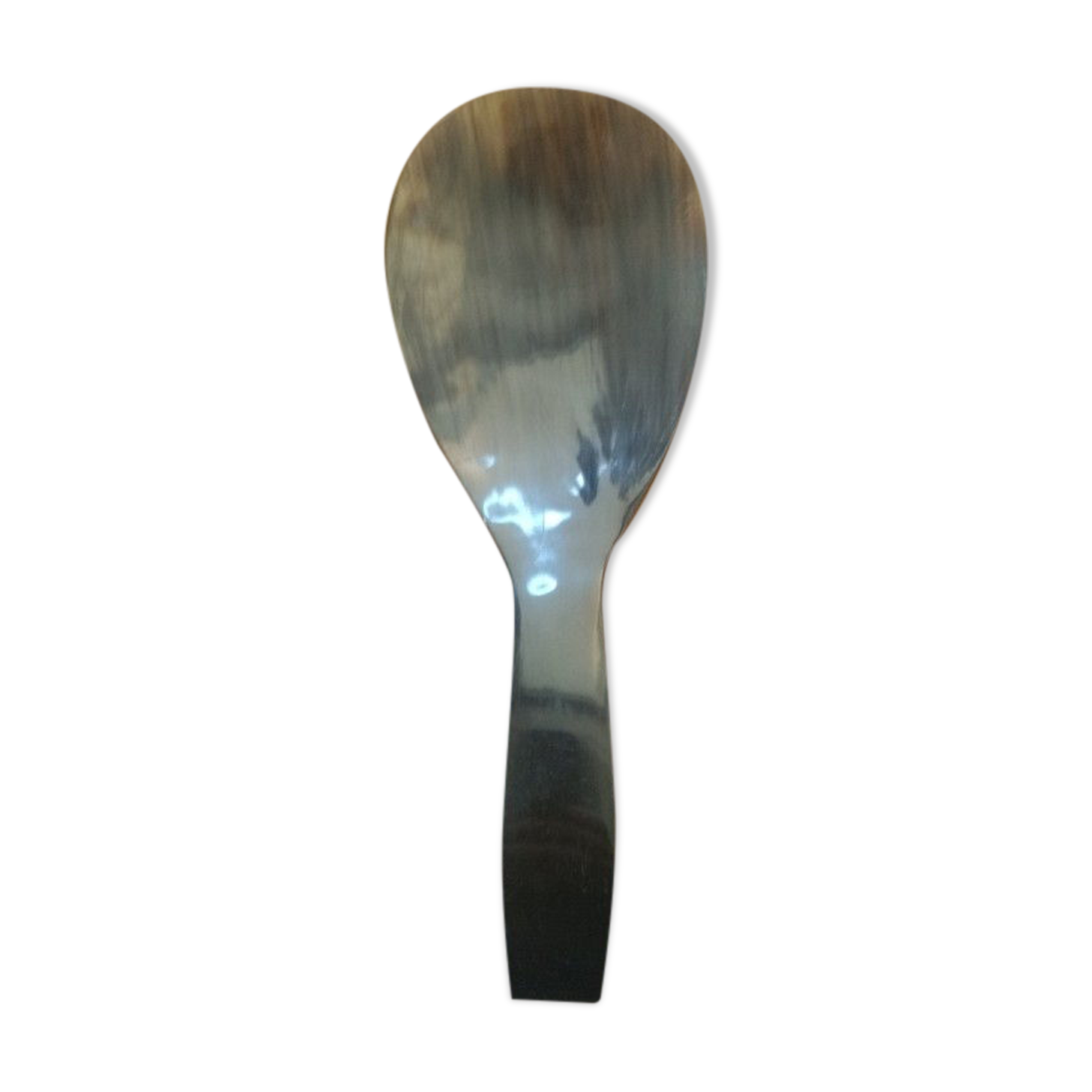Rice spoon covered with serving in Asian handicraft horn