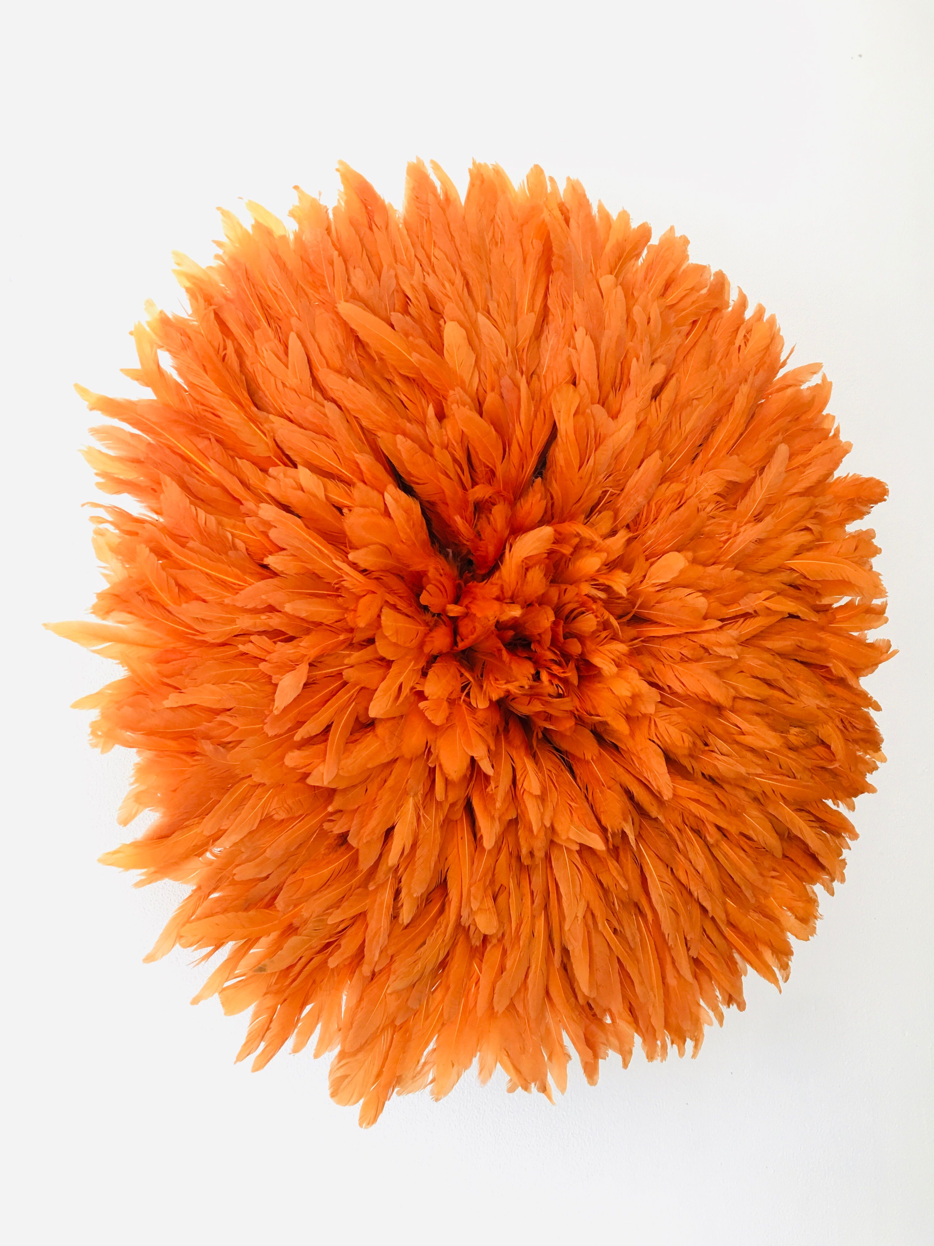 Jujuhat orange 50 cm