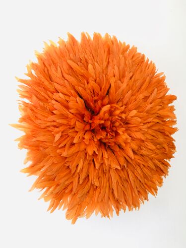 Jujuhat orange 50 cm