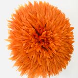 Jujuhat orange 50 cm