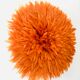 Jujuhat orange 50 cm