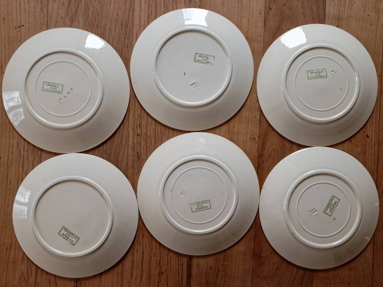 6 flat plates made of ironstone Sarreguemines 'Geranium'