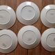 6 flat plates made of ironstone Sarreguemines 'Geranium'