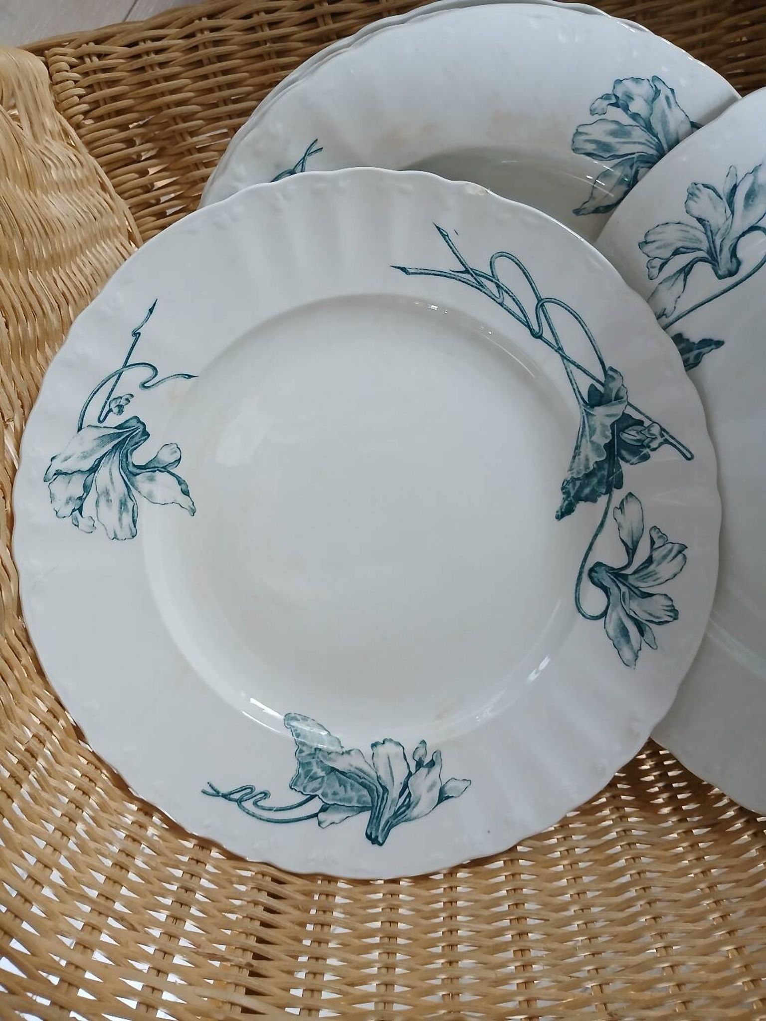 12 assiettes plates anciennes en Terre de fer 