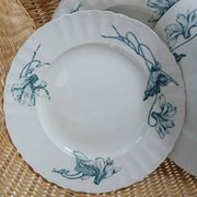12 assiettes plates anciennes en Terre de fer 