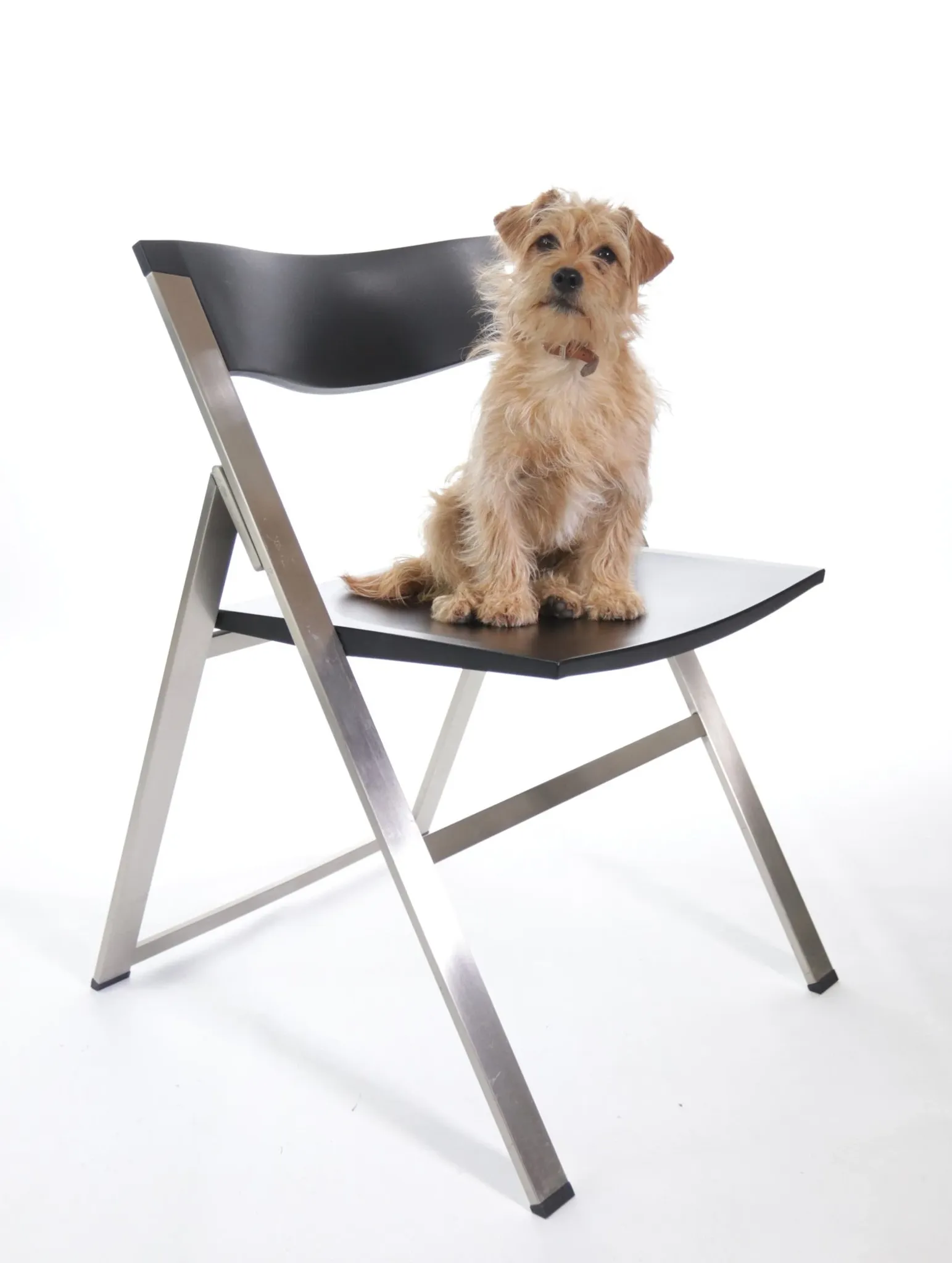 Set of six P08 folding chairs by Justus Kolberg for Tecno, Italy