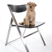 Set of six P08 folding chairs by Justus Kolberg for Tecno, Italy