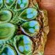 Ceramic oyster dishes signed Vallauris