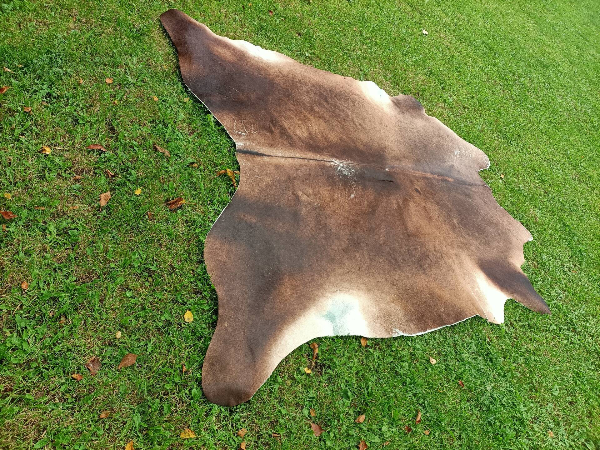 Cowhide Rug