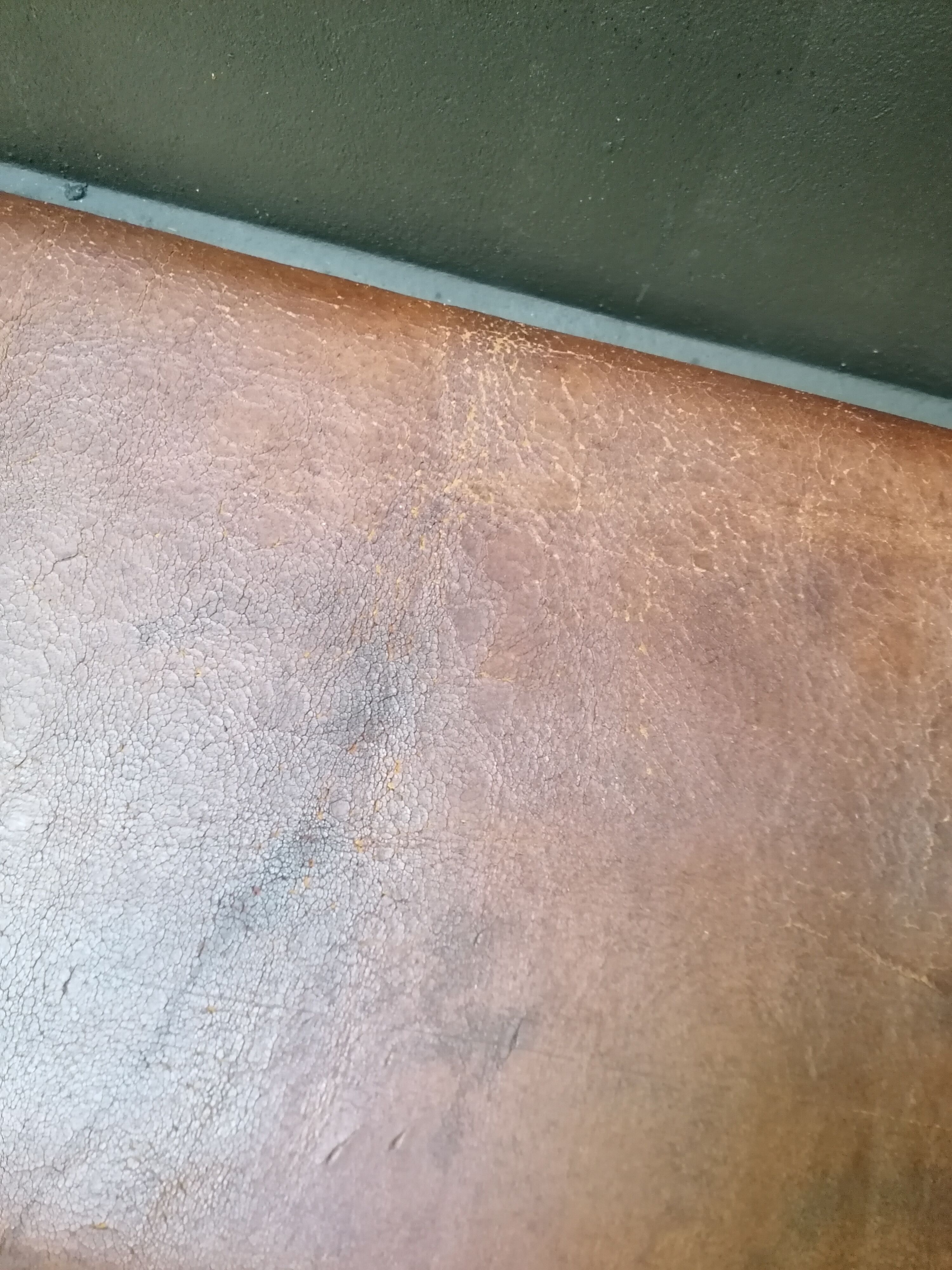 banc vintage en cuir, Tchécoslovaquie années 60, banc de gym, cheval d'arçon