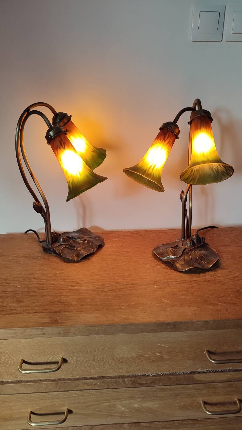 Deux lampes nénuphar en laiton et verre