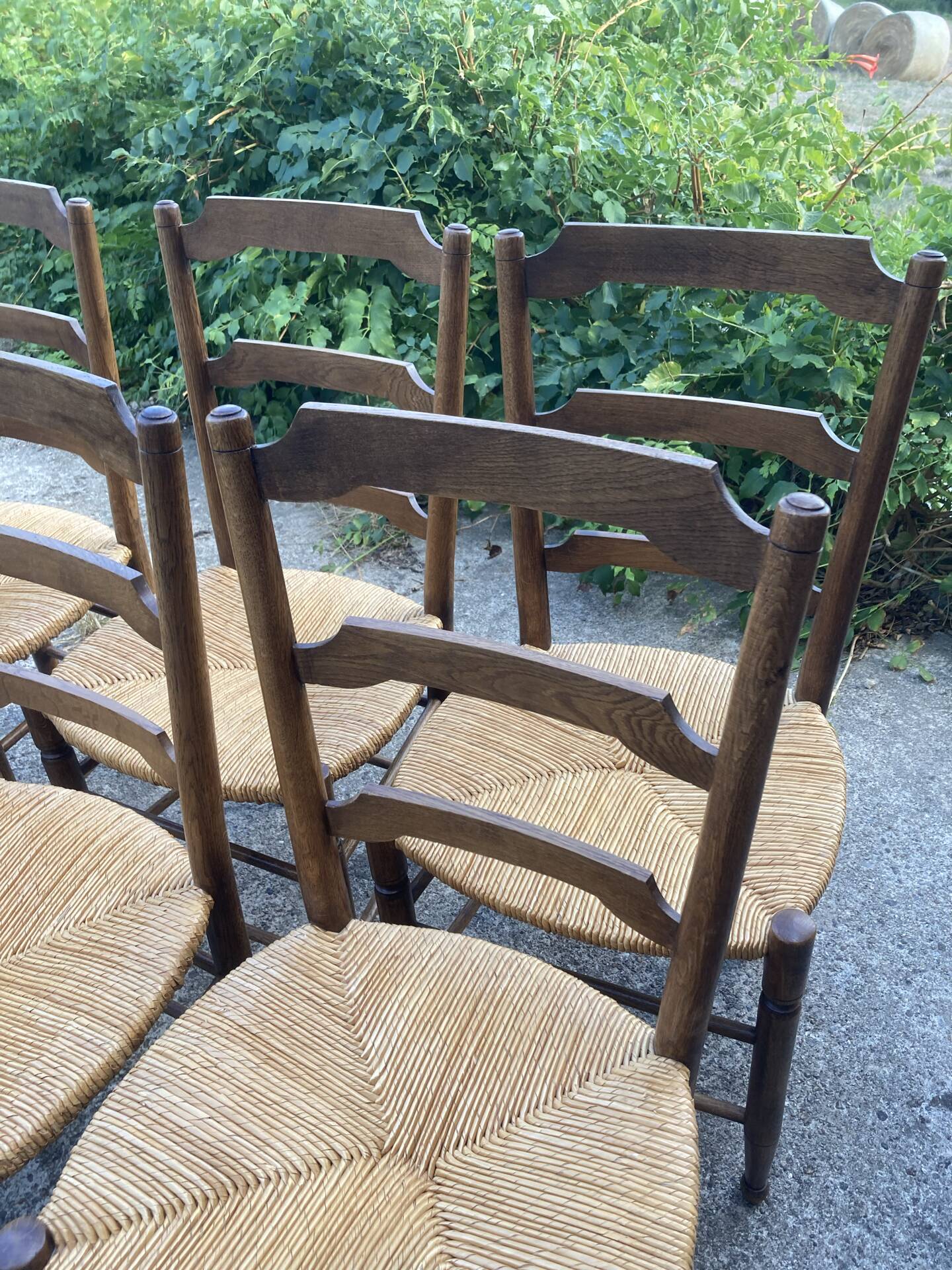 6 oak chairs