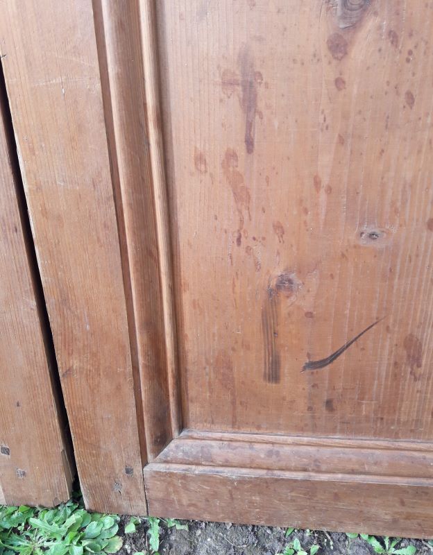 Pair of doors 248x129cm old