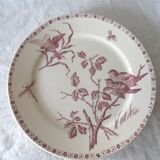 Old faience plates