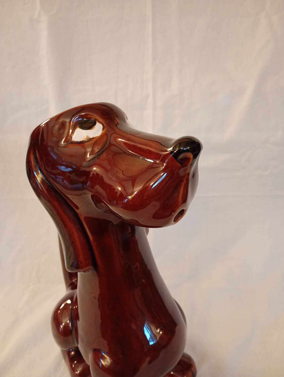 Dog pitcher