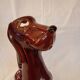 Dog pitcher