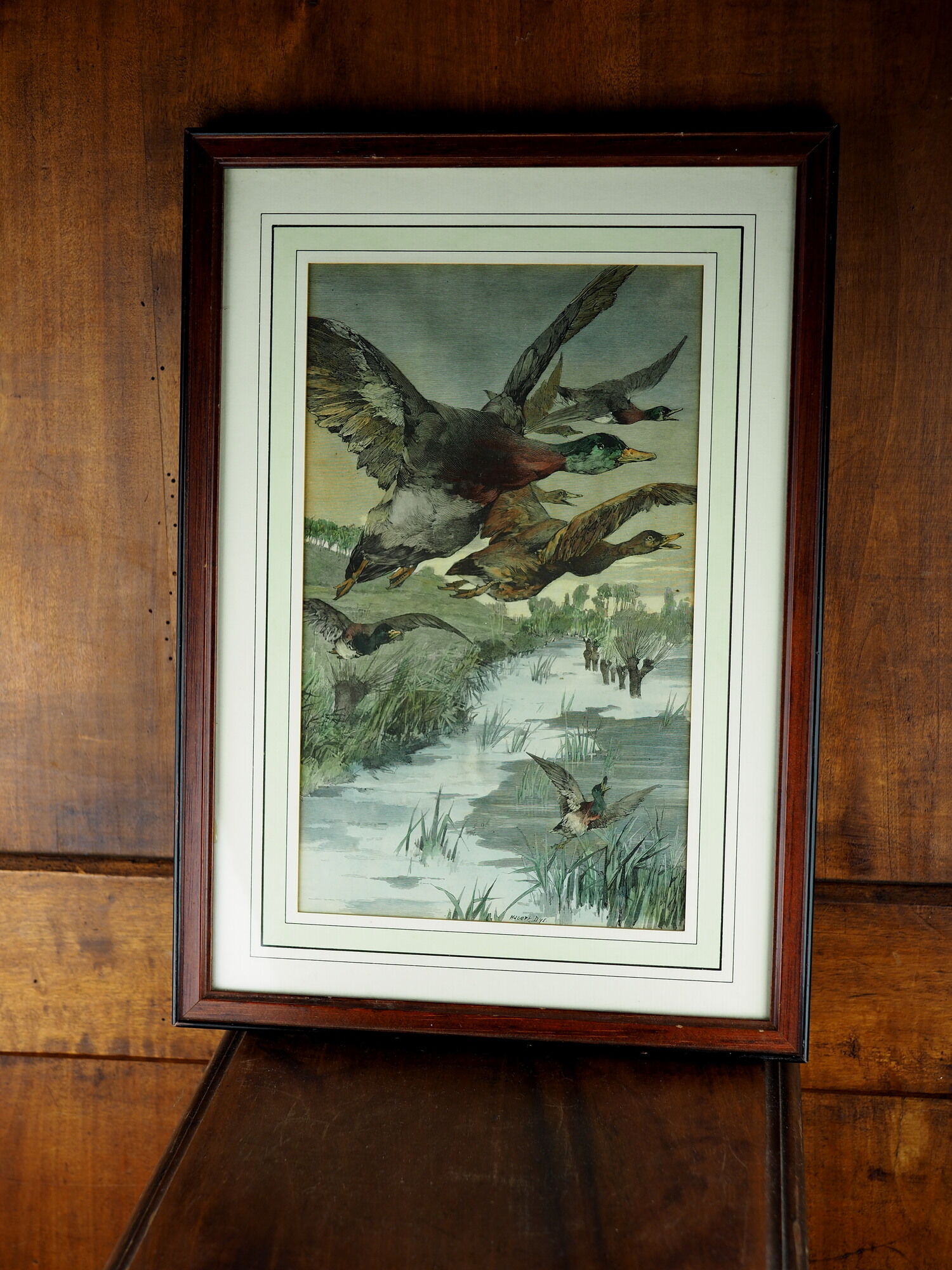 Flight of ducks, marshes and tetard willows - chromolithography Jules Habert-Dys - 1880