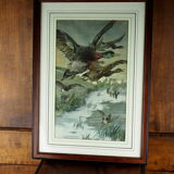 Flight of ducks, marshes and tetard willows - chromolithography Jules Habert-Dys - 1880