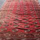 Tapis d'orient Boukhara Turkmène : 310 x 220 Cm