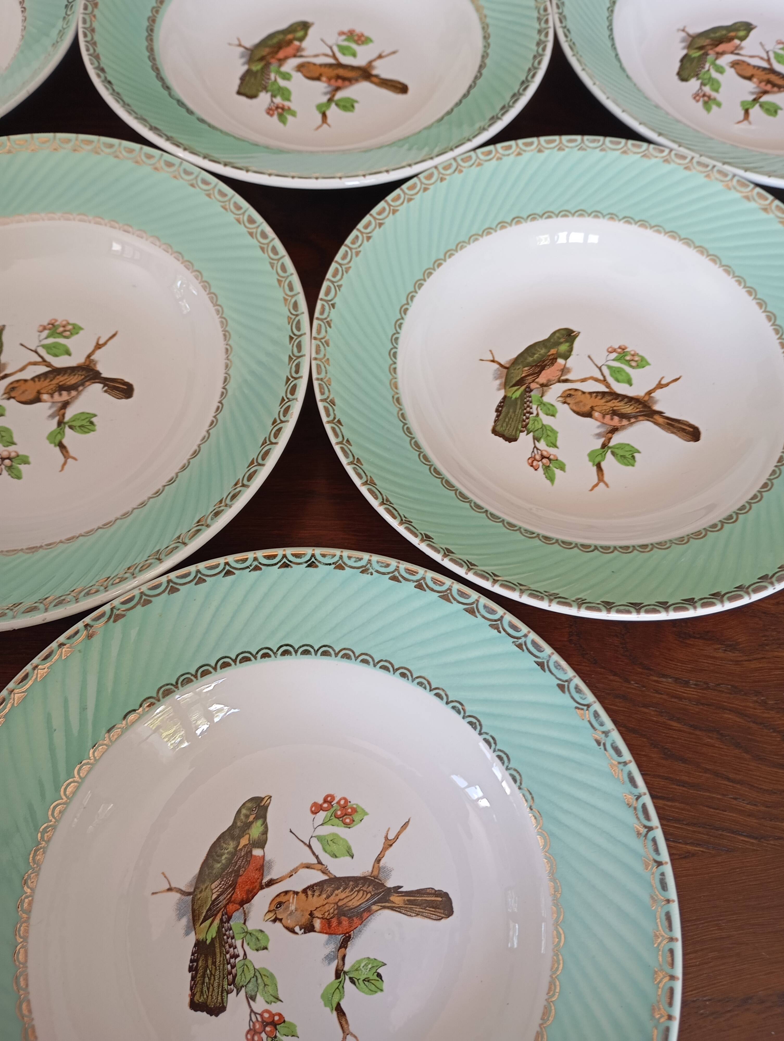 8 soup plates Fenal Badonviller "Birds" vintage 1950s