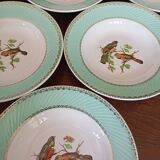 8 soup plates Fenal Badonviller "Birds" vintage 1950s
