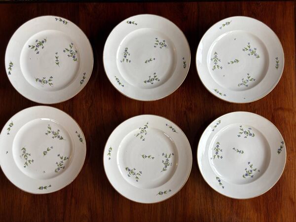 6 assiettes anciennes en porcelaine décor aux barbeaux