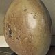 Pebble soliflore vase in stoneware / La Borne / Puisaye