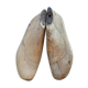 Shoe trees form with shoe