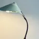 Cobra Desk Lamp By Gebrüder Cosack, Germany, 1950S