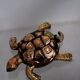 Golden brass turtle in decorative ashtray