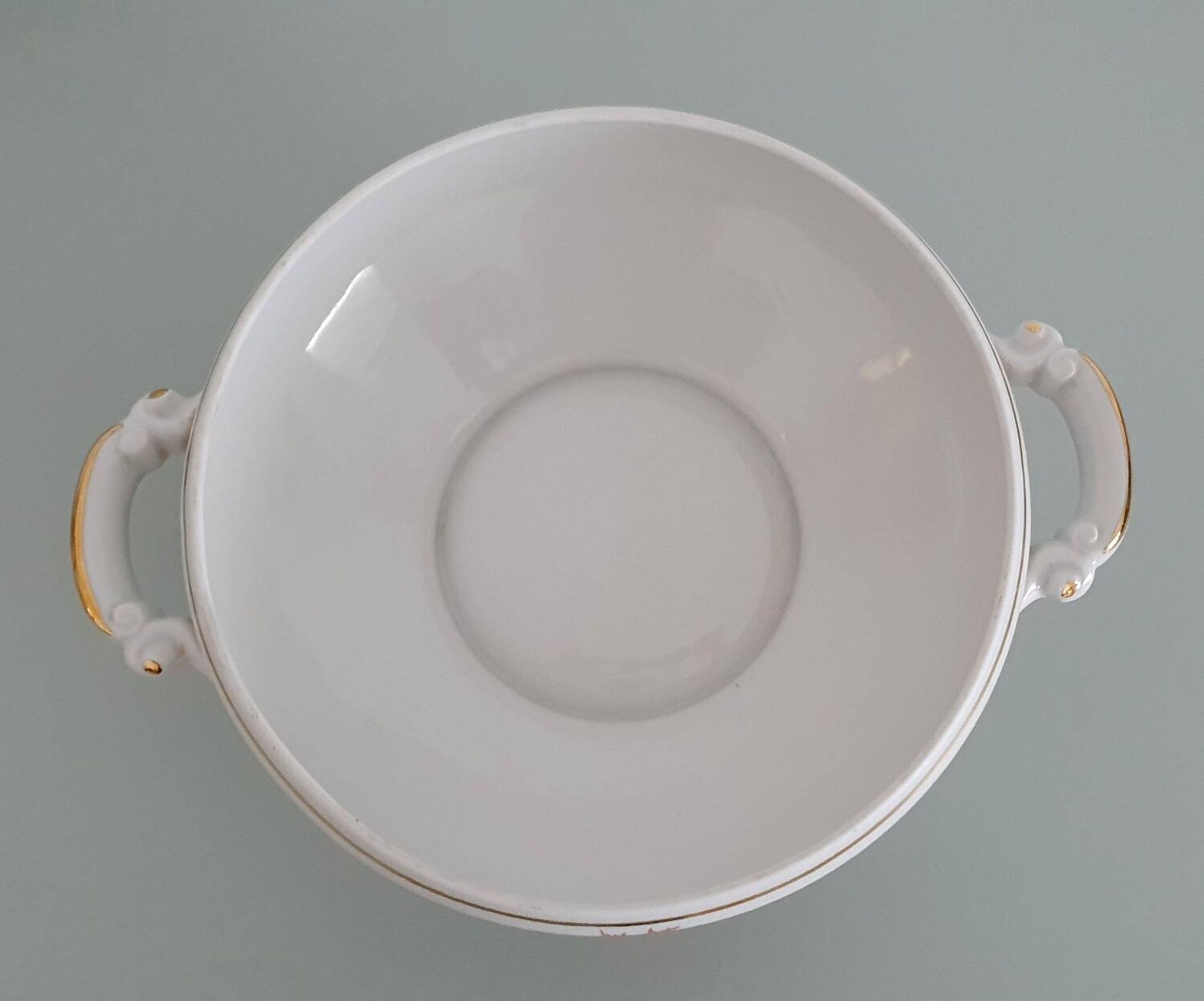 Limoges enamelled porcelain soup tureen