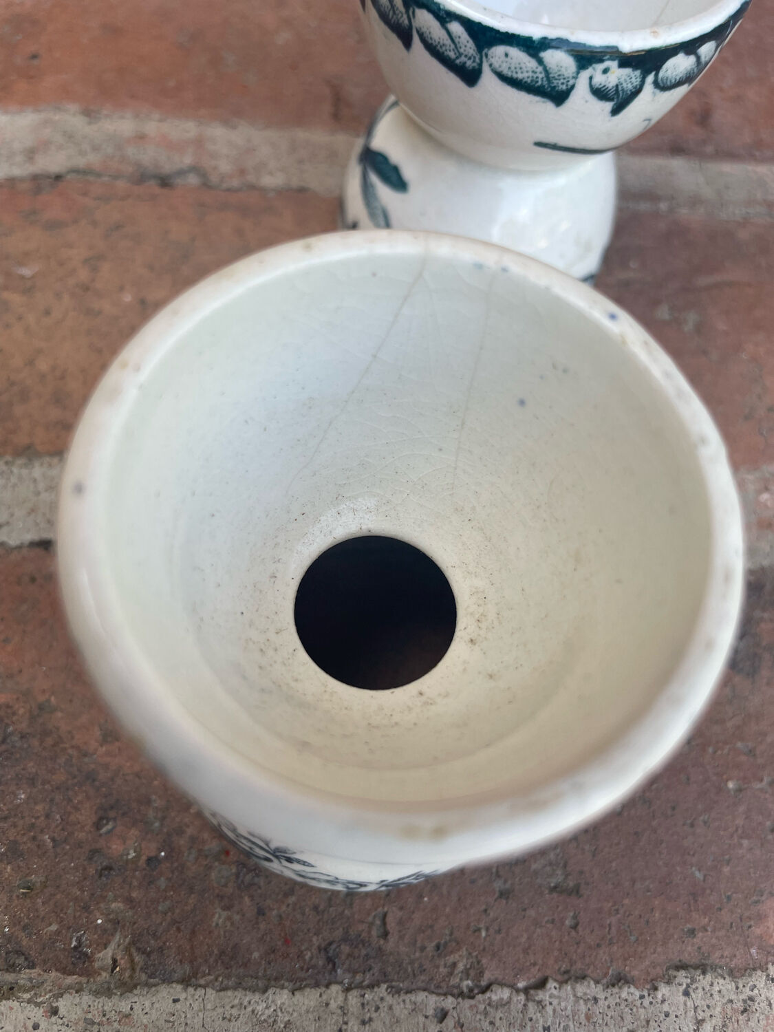 Cockroaches diabolo Terre de Fer