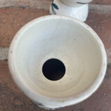 Cockroaches diabolo Terre de Fer