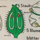 Vintage educational wall hanging roll chart biology plants