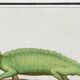 Small poster on the Chameleon, after an old engraving from 1610.