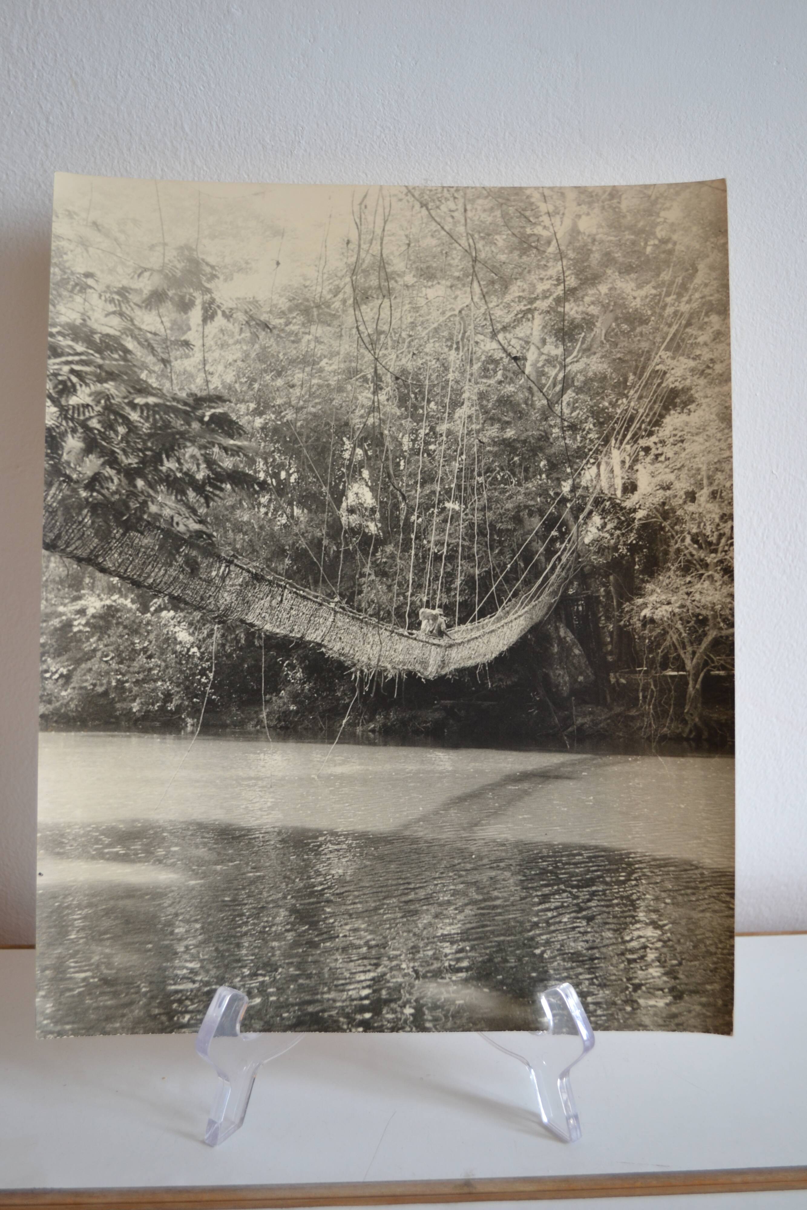 Anonymous silver photo africa gabon lianes bridge circa 1970