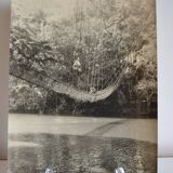 Anonymous silver photo africa gabon lianes bridge circa 1970