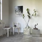 Tulip tree vase with 5 branches