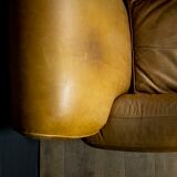 Set of leather french club armchairs