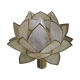Very pretty lamp with lotus mother-of-pearl and brass table