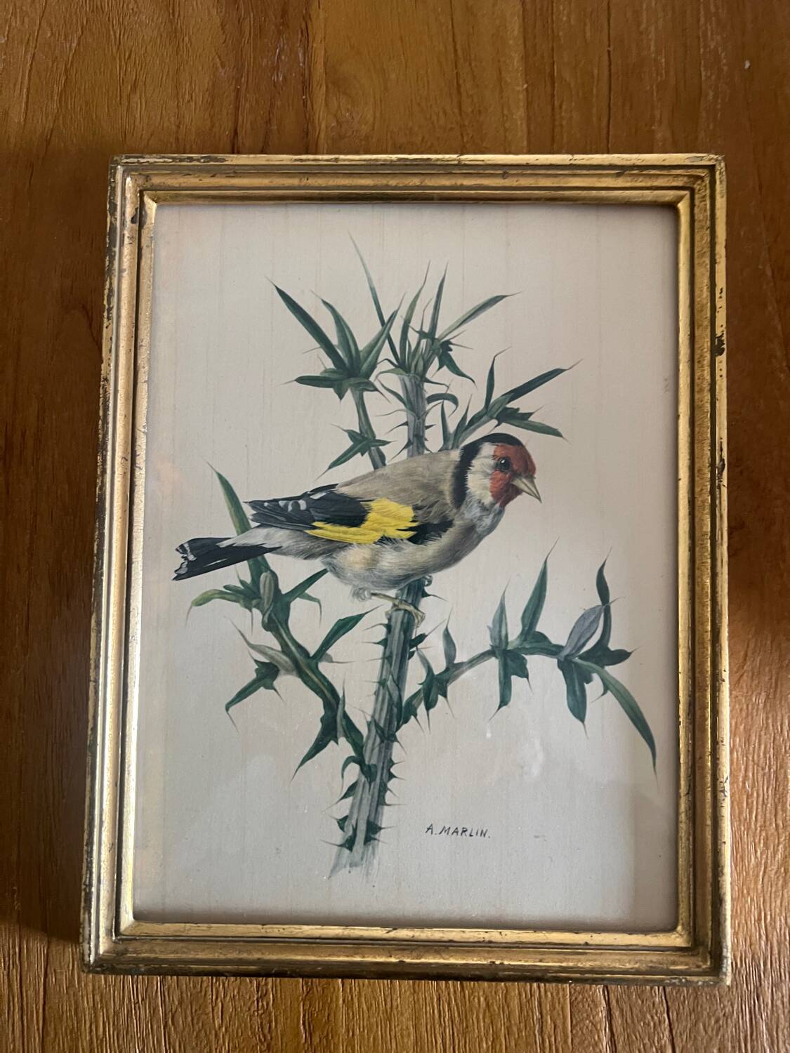 Set of four ornithological engravings signed À. Marlin, 1950.